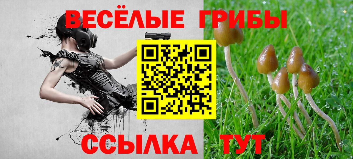 Галлюциногенные грибы прущие грибы Богородицк