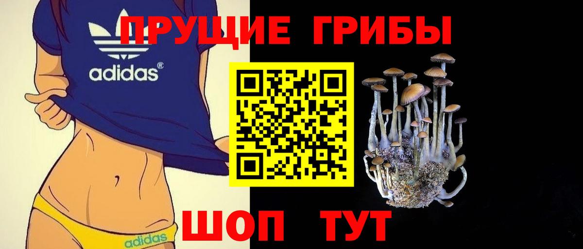 Псилоцибиновые грибы Psilocybe  Вход с VPN  Богородицк 
